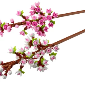 Kirschblüten (40725)