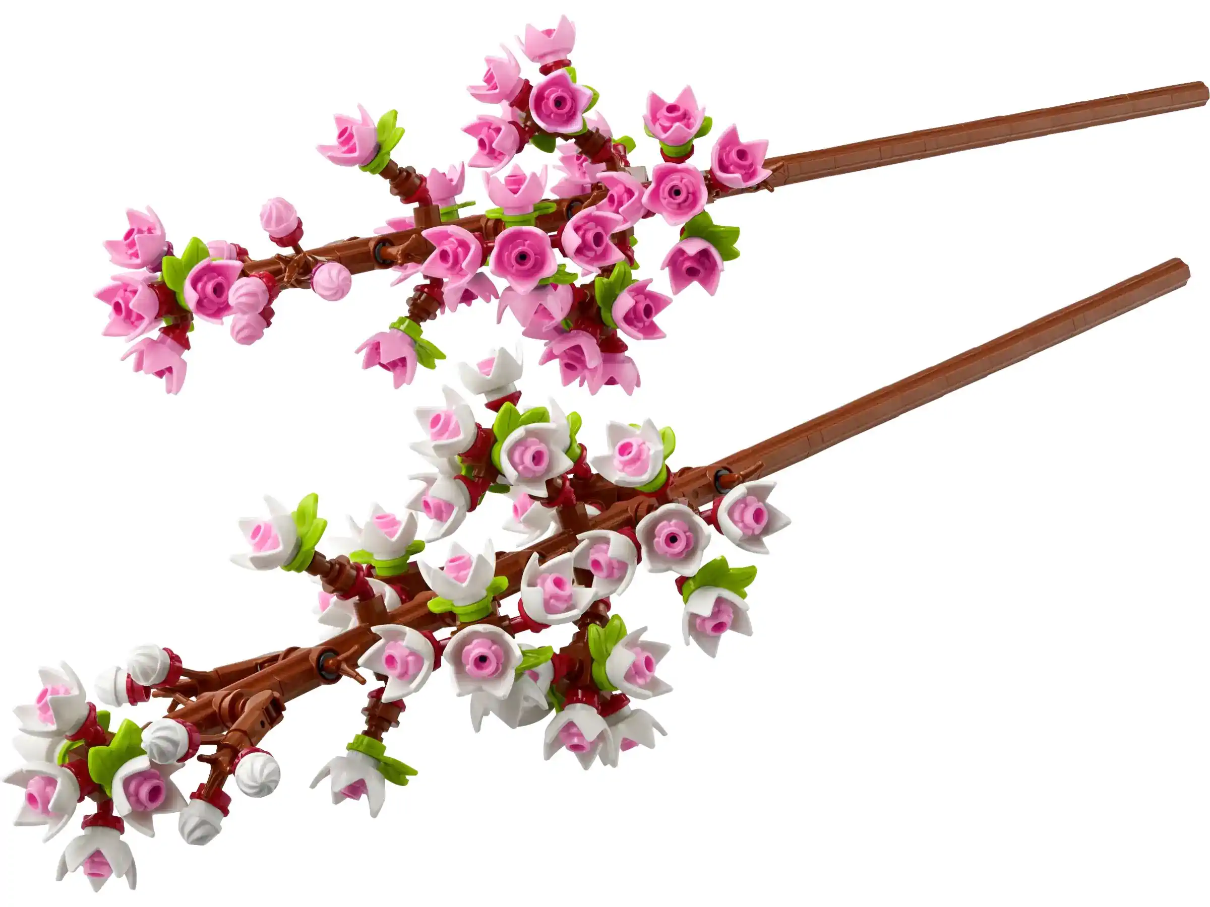 Kirschblüten (40725)