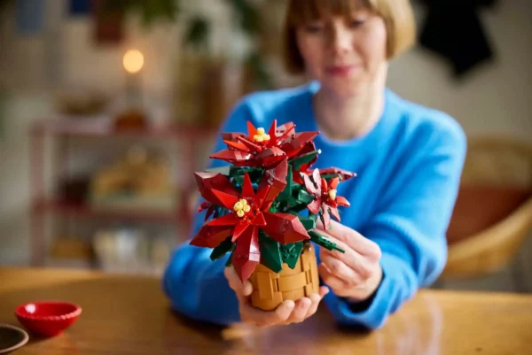 LEGO Weihnachtsstern (10370)