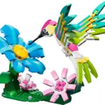 Wilde Tiere: Bunter Kolibri