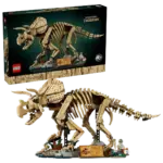 Dinosaurier-Fossilien: Triceratops